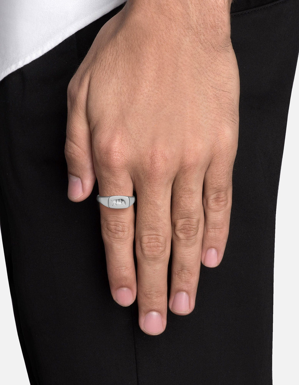 Oxen Signet Ring, Sterling Silver