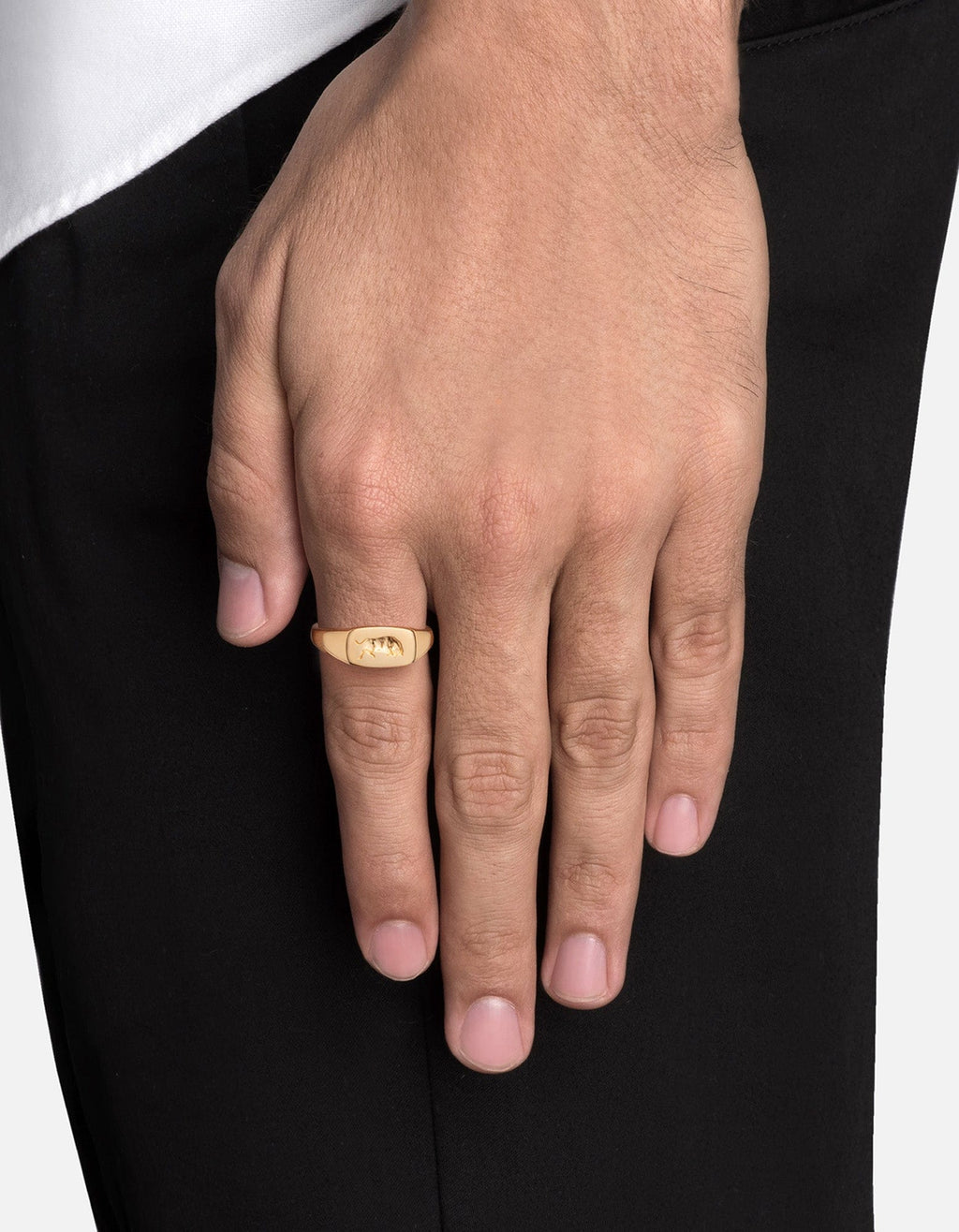 Oxen Signet Ring, Gold Vermeil