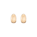 Dome Earrings