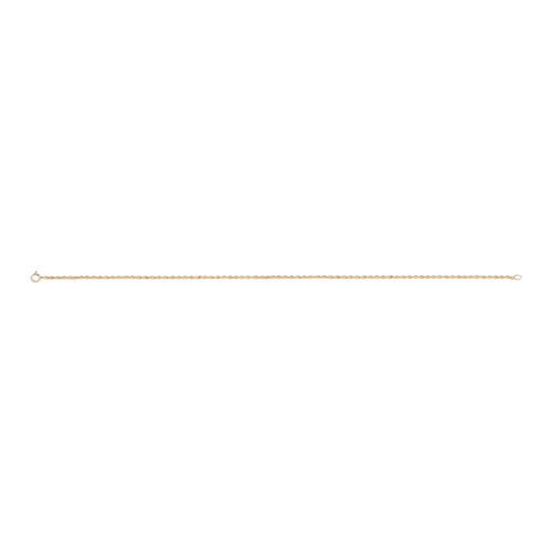 Barely There Chain Anklet