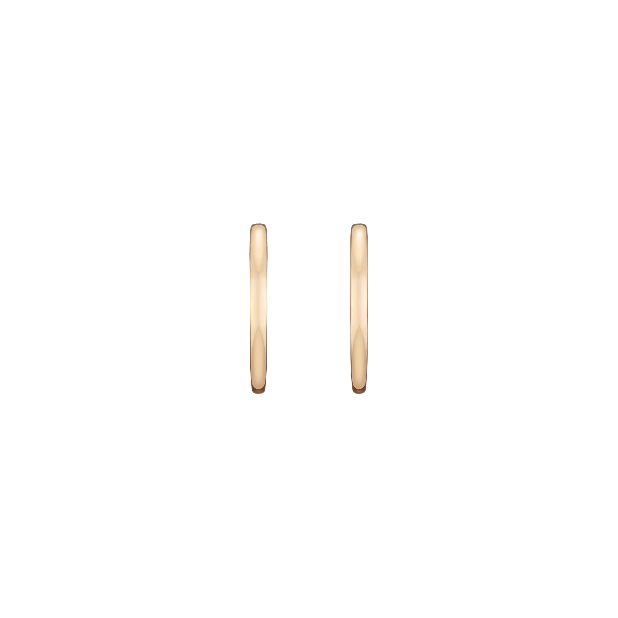 Medium Hinged Hoop Earrings
