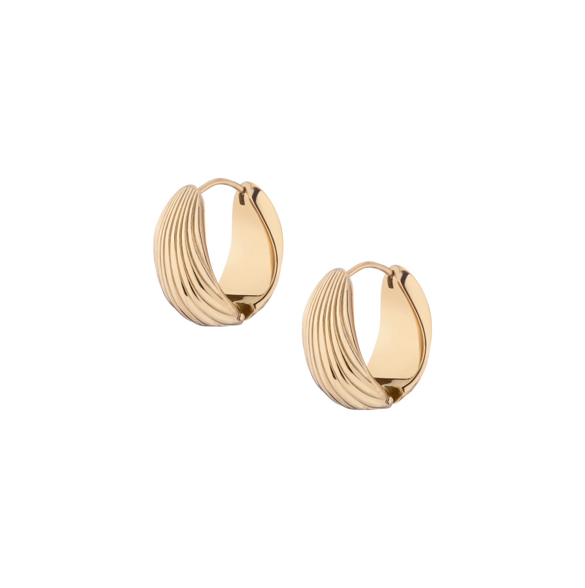 Shell Hinged Hoop Earrings