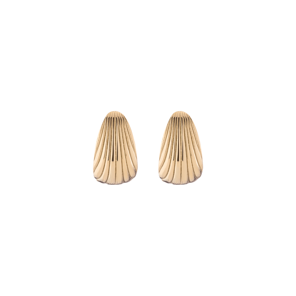 Shell Hinged Hoop Earrings