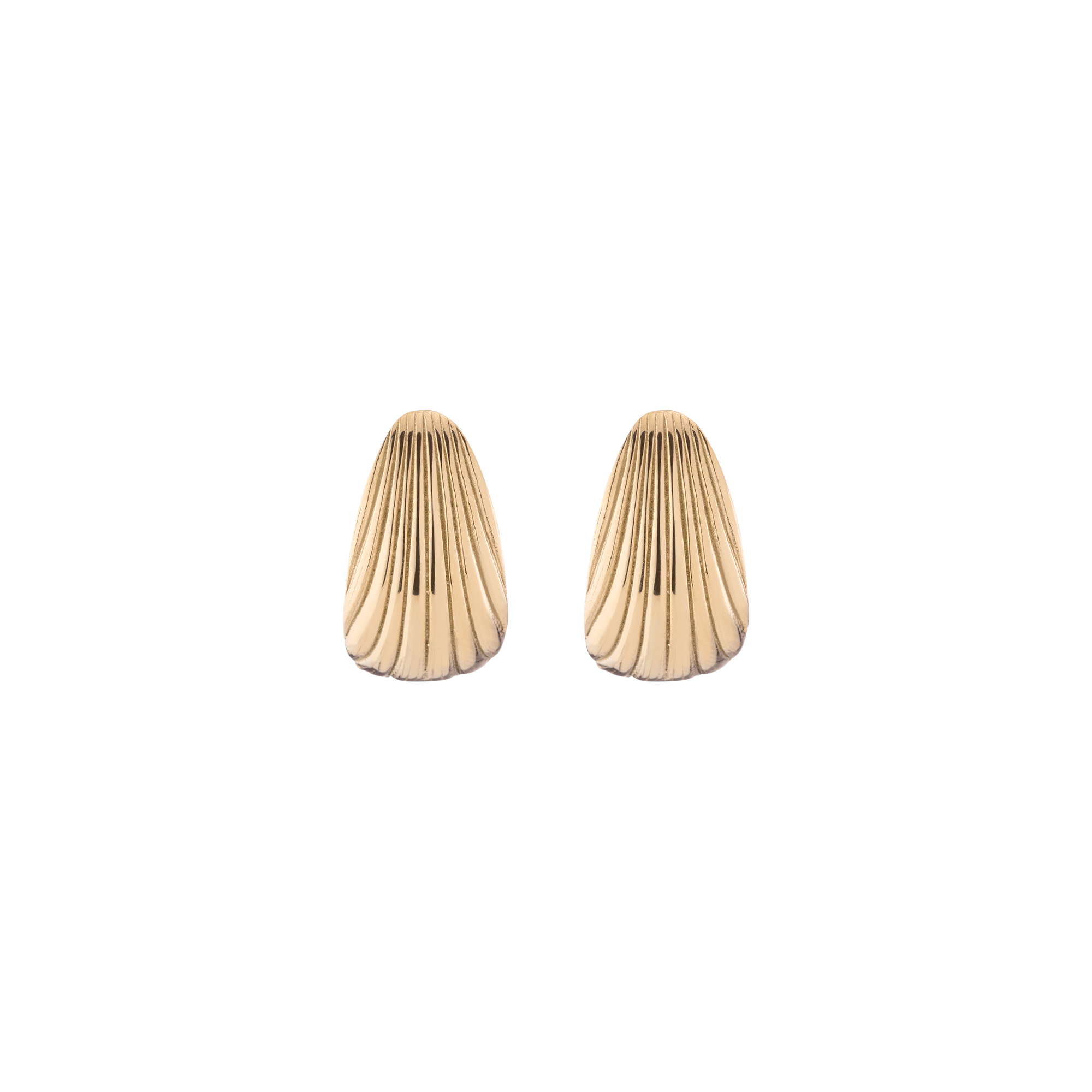Shell Hinged Hoop Earrings