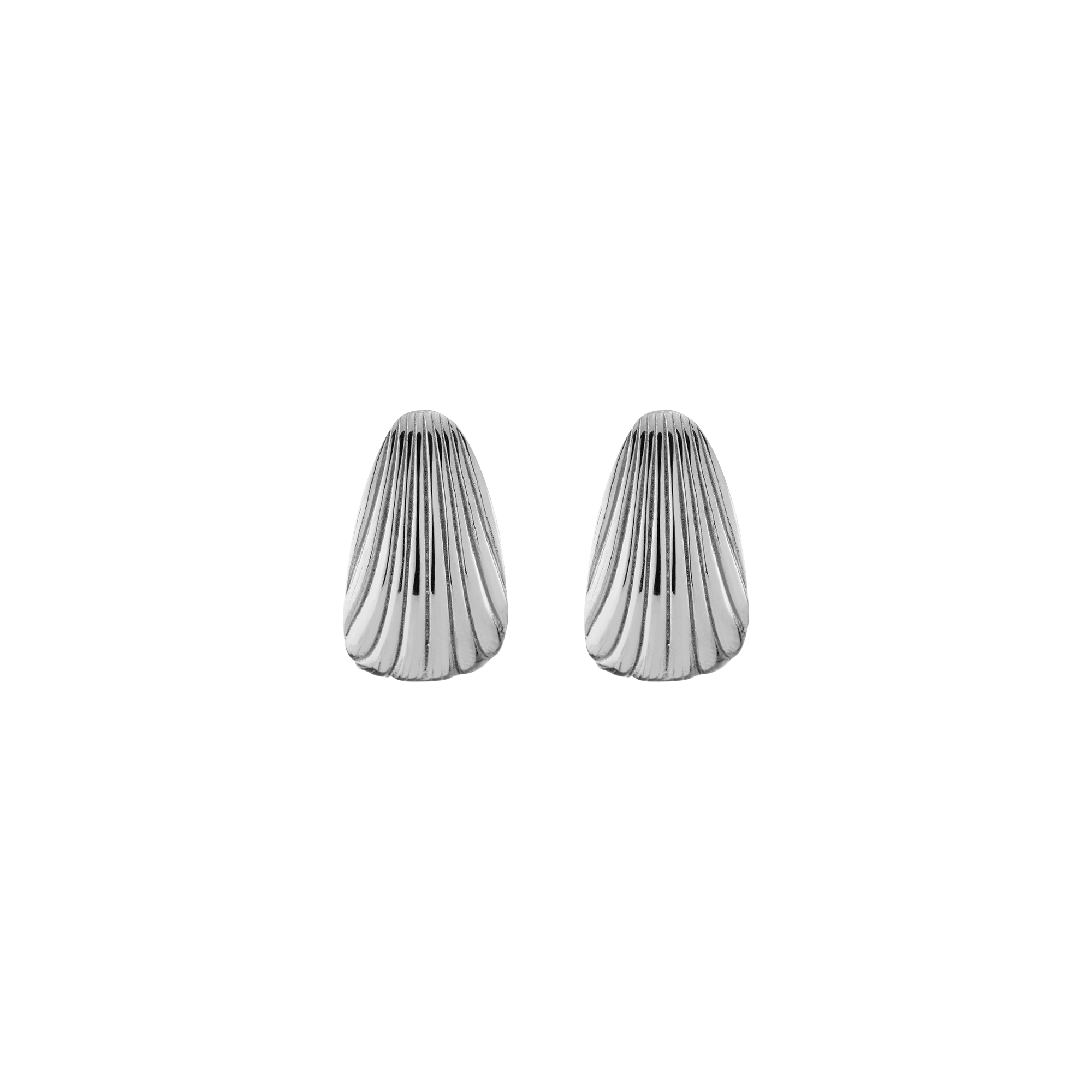 Shell Hinged Hoop Earrings