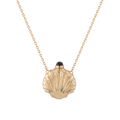 Seashell Bottle Necklace