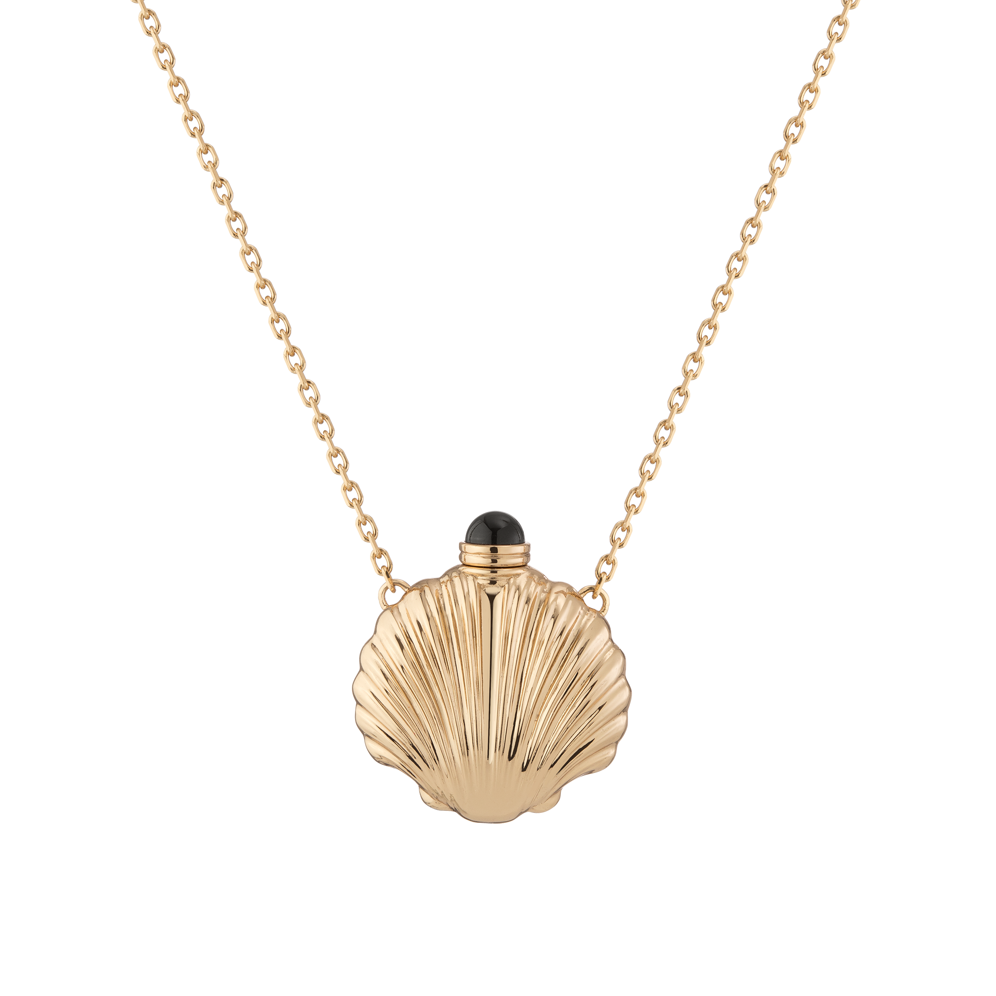 Seashell Bottle Necklace