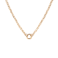 Curb Chain Charm Necklace
