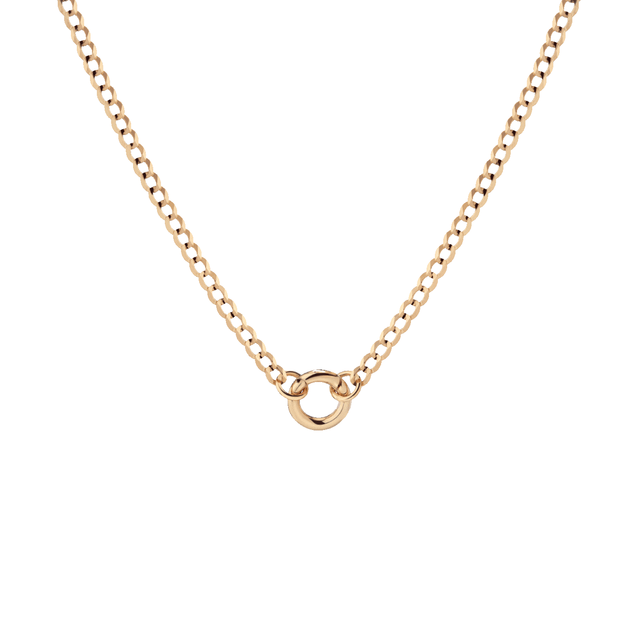Curb Chain Charm Necklace